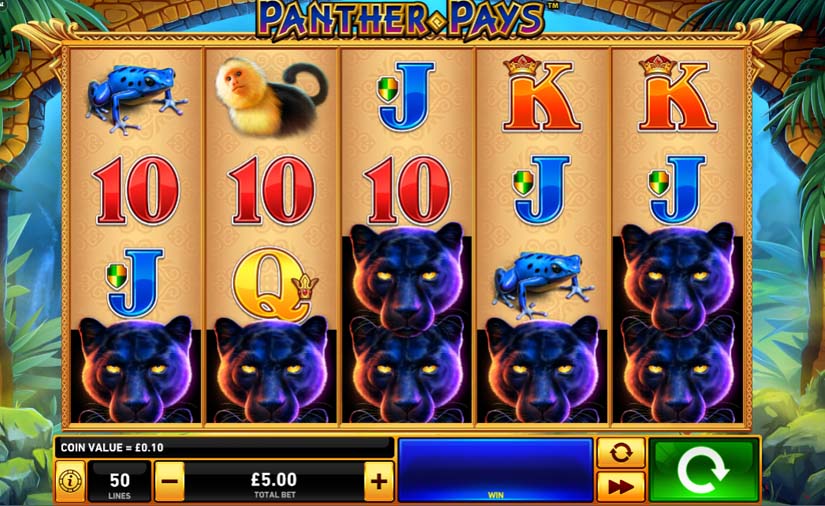 panther pays slot