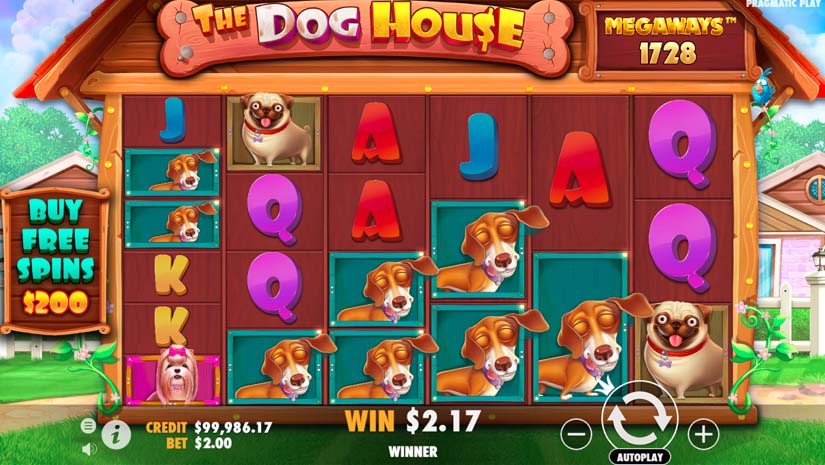the dog house megaways win