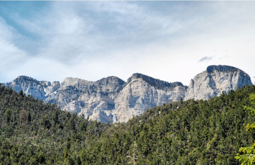 Mt. Charleston Scenery Picture